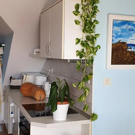 Apartment Silvia